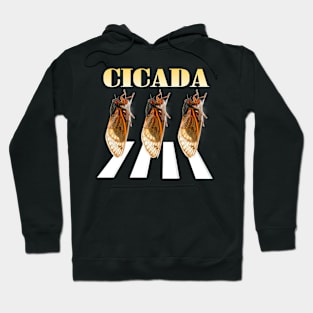 Cicada Brood XIX funny album Hoodie